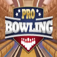 Pro Bowling Fun