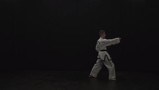 Taekwon-do Learning Screen 3