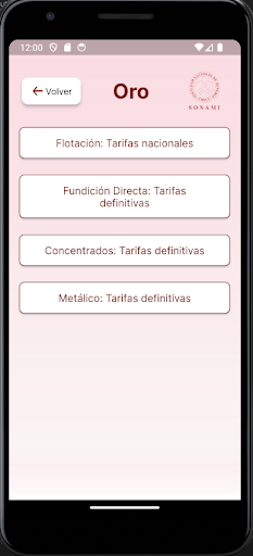 Tarifa ENAMI Screen 3