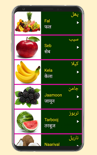 Learn Urdu From Hindi Screenshot