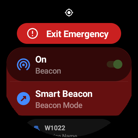 NGT Watch Screen 2