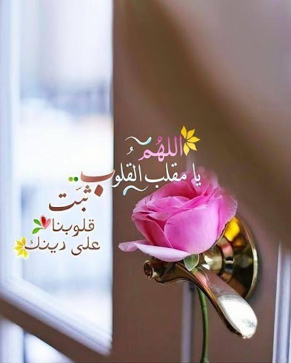 اجمل خلفيات اسلامية بدون نت - v1.7