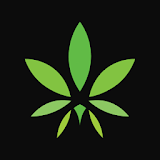 Today's Cannabis Insider icon