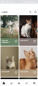 Cats wallpapers for android