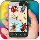 Bugs in Phone Prank icon