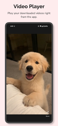 Screenshot of Video Downloader For Pinterest