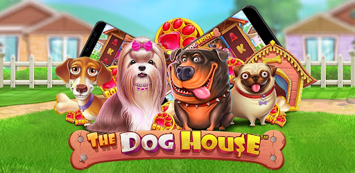 Dog house демо в рублях играть. Dog House Slot. Фон слота дог Хаус. Dog House Slot Demo. The Dog House проигранный слот.