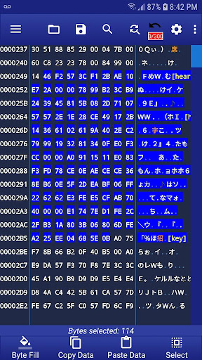 HEX Editor - WindHex Mobile Screen 2
