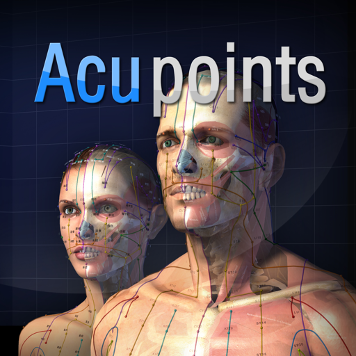 Acupoints 3.1.1 Icon