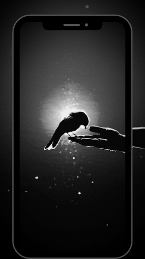 خلفيات سوداء فخمة