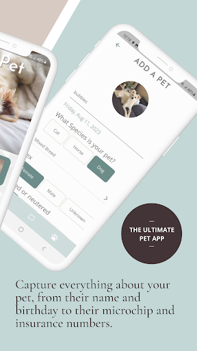 Tame Vet App Screen 3