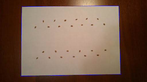 SeedCounter Screen 2