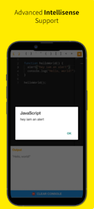JavaScript Editor