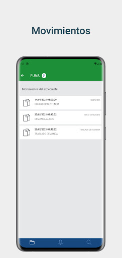 PJRN Puma Screen 3