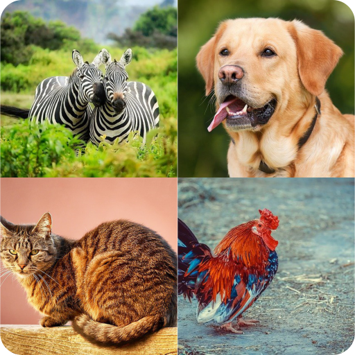 Animal picture quiz