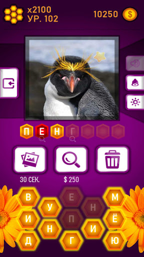 Guess the Word-Honey Riddles Screen 2