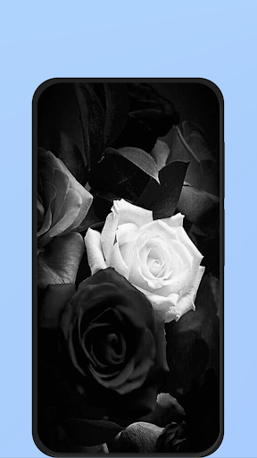 black and white rose Screen 2