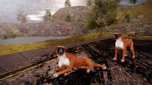 Boxer Dog Simulator 3D 24
