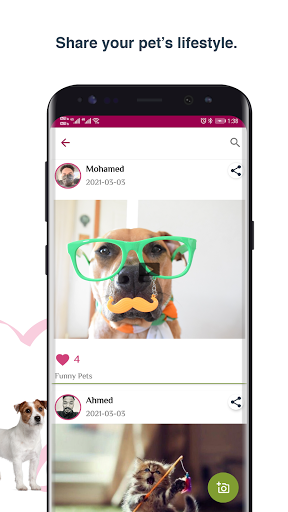 Animal Lovers Screen 3