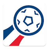 Pocket EM 2016  -   Fussball icon