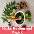 Herbs healing and magic1.6