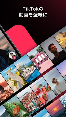 TikTok ダイナミック壁紙のおすすめ画像2