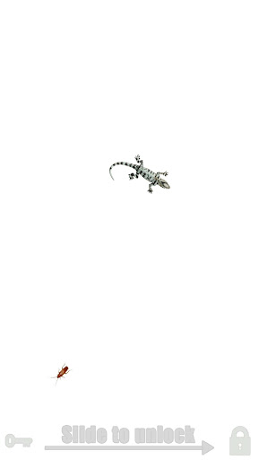 Fly simulator: cat toy 22