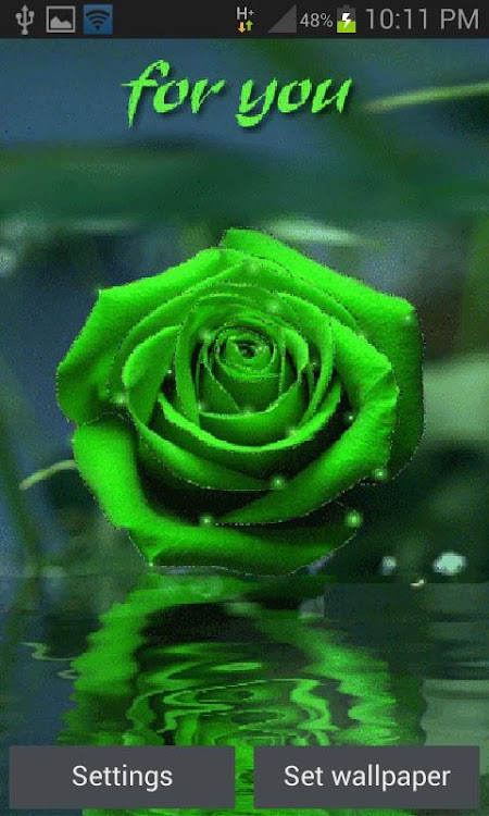 Green Rose For You LWP - 3 - (Android)