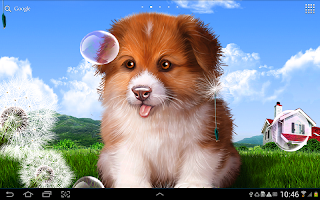 screenshot of Puppy Wallpaper