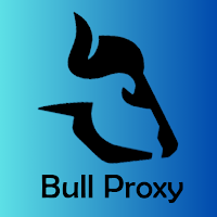 BULL VPN