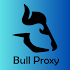 BULL VPN - VPN Proxy App