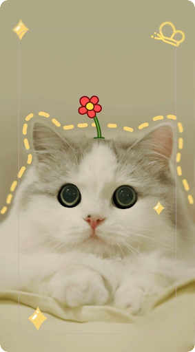 Wallpaper Kucing Imut
