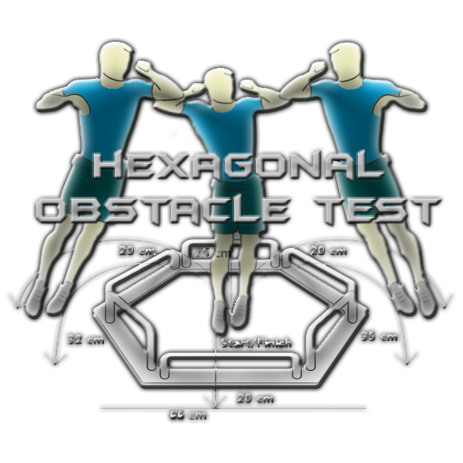 Hexagonal Obstacle Test logo