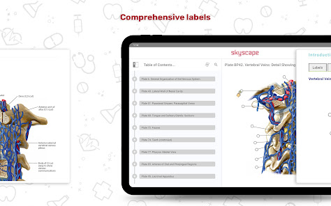 Screenshot 18 Human Anatomy Atlas android