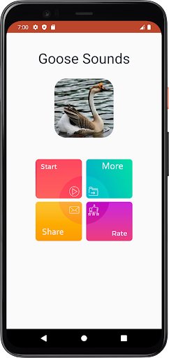 Goose Sounds Screen 2