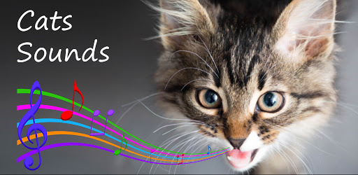 猫の音 Google Play のアプリ