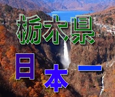 栃木県、日本一お国自慢のおすすめ画像3