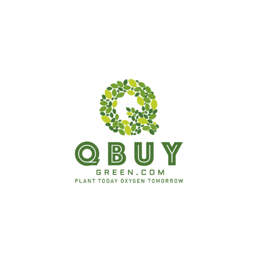 QBuyGreen logo
