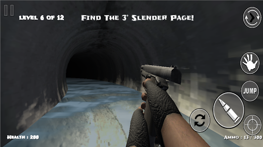 Slender Insane 4