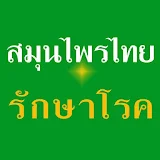 สมุนไพรไทย สรรพคุณเพื่อสุขภาพ icon