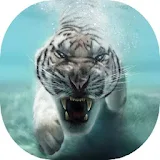 Tiger Live HD Theme icon