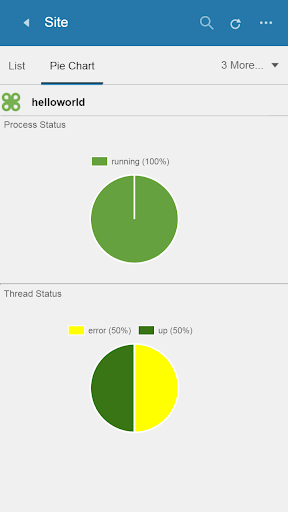 Infor Cloverleaf GM Screen 3