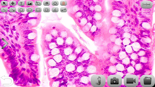 KoPa WiFi EDU Screen 2
