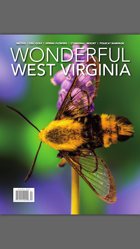 Wonderful West Virginia Screen 2