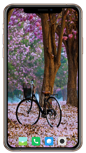 HD Classic Bicycle Wallpapers