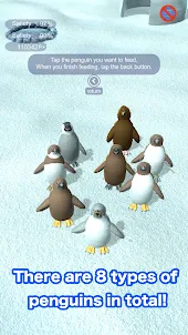 Penguins raised from chicks