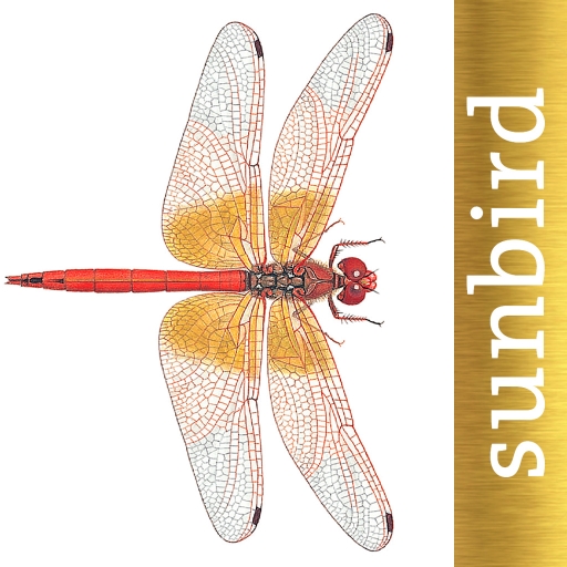 Dragonfly Id Britain & Europe 1.1 Icon