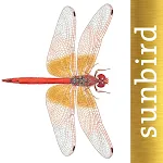 Cover Image of Скачать Dragonfly Id Britain & Europe  APK