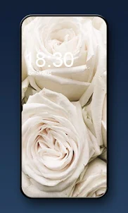 White rose wallpaper