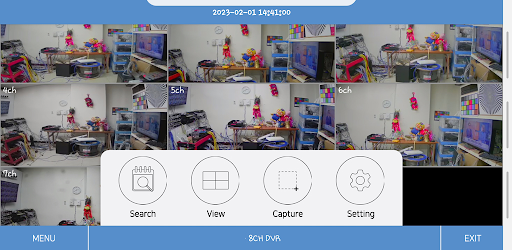 BLUE CCTV Screen 2